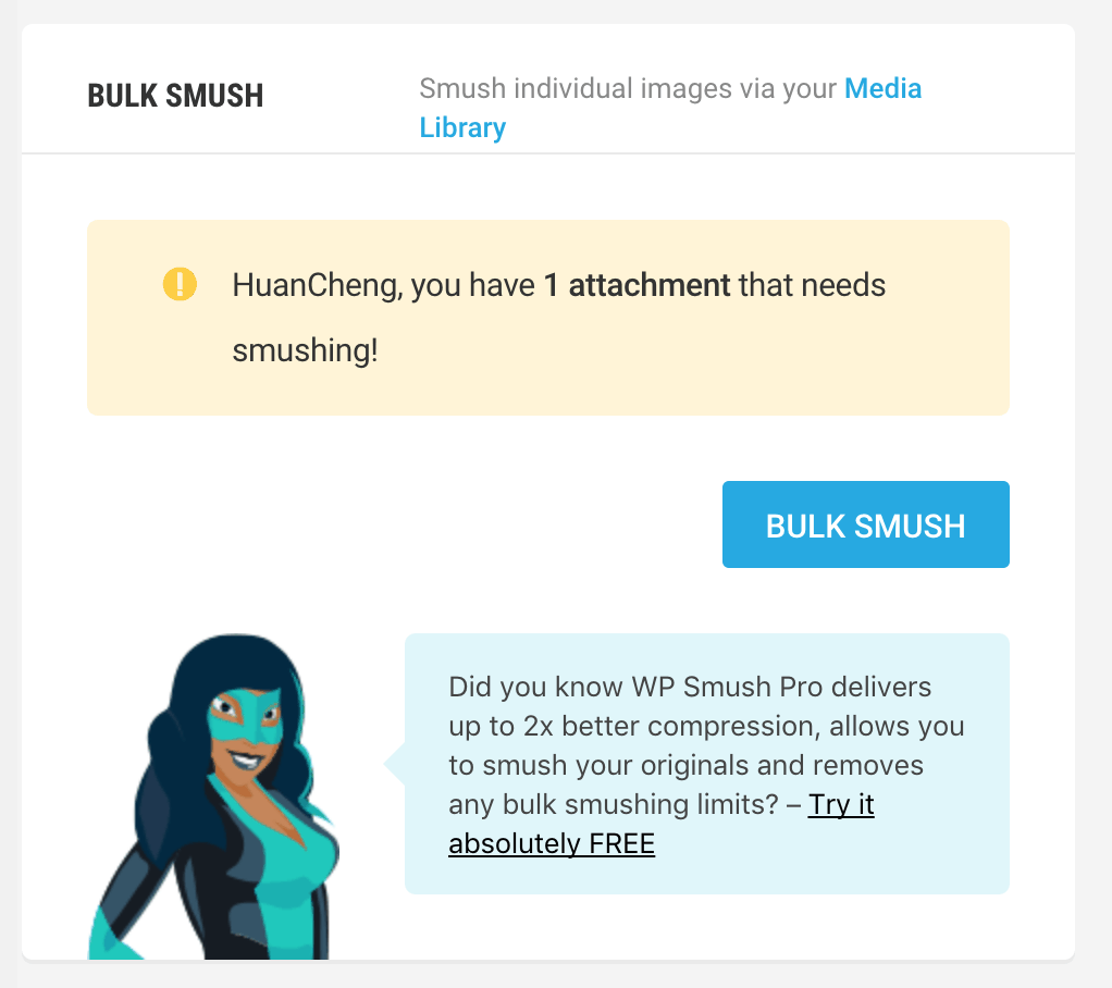 Smush 插件设置界面
