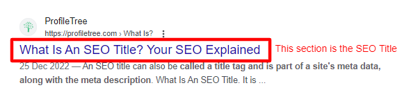 搜索引擎结果页中的 SEO 标题示例