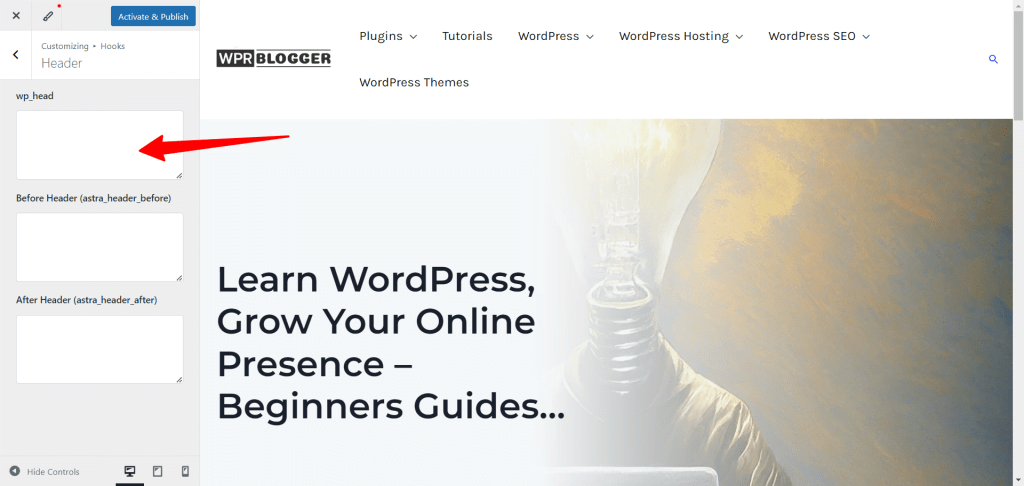 WordPress 自定义器 - Astra Hook 插件 wp_head 标签中的代码编辑器