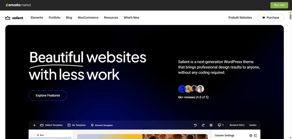 ThemeForest 上的 Salient 主题演示页