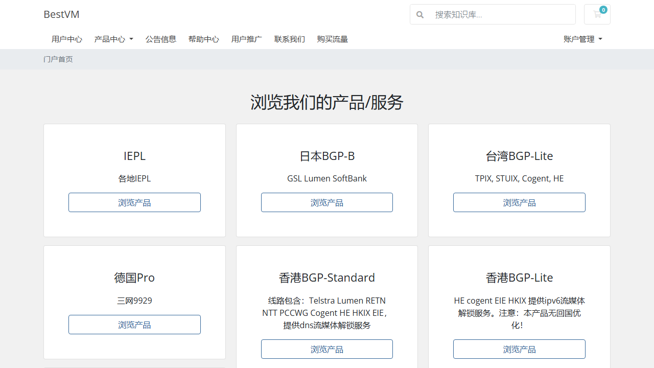 BestVM 官网首页截图