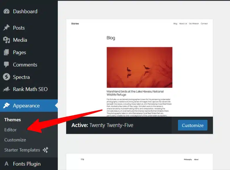 WordPress 外观菜单:高亮显示编辑器选项,Twenty Twenty-Five 为当前主题
