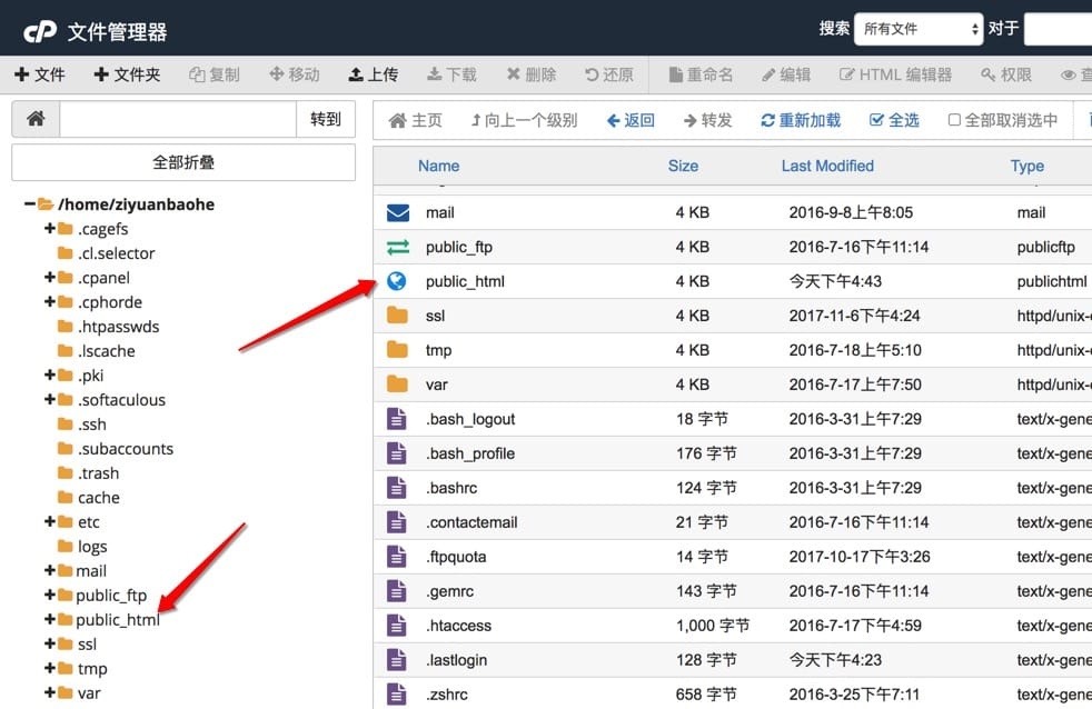 cPanel 文件管理器中点击上传按钮