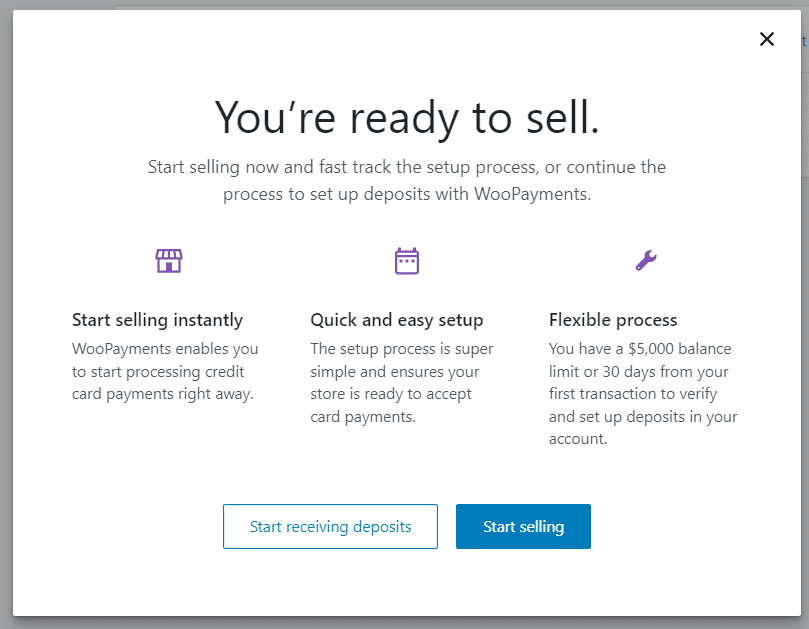 WooPayments 欢迎消息
