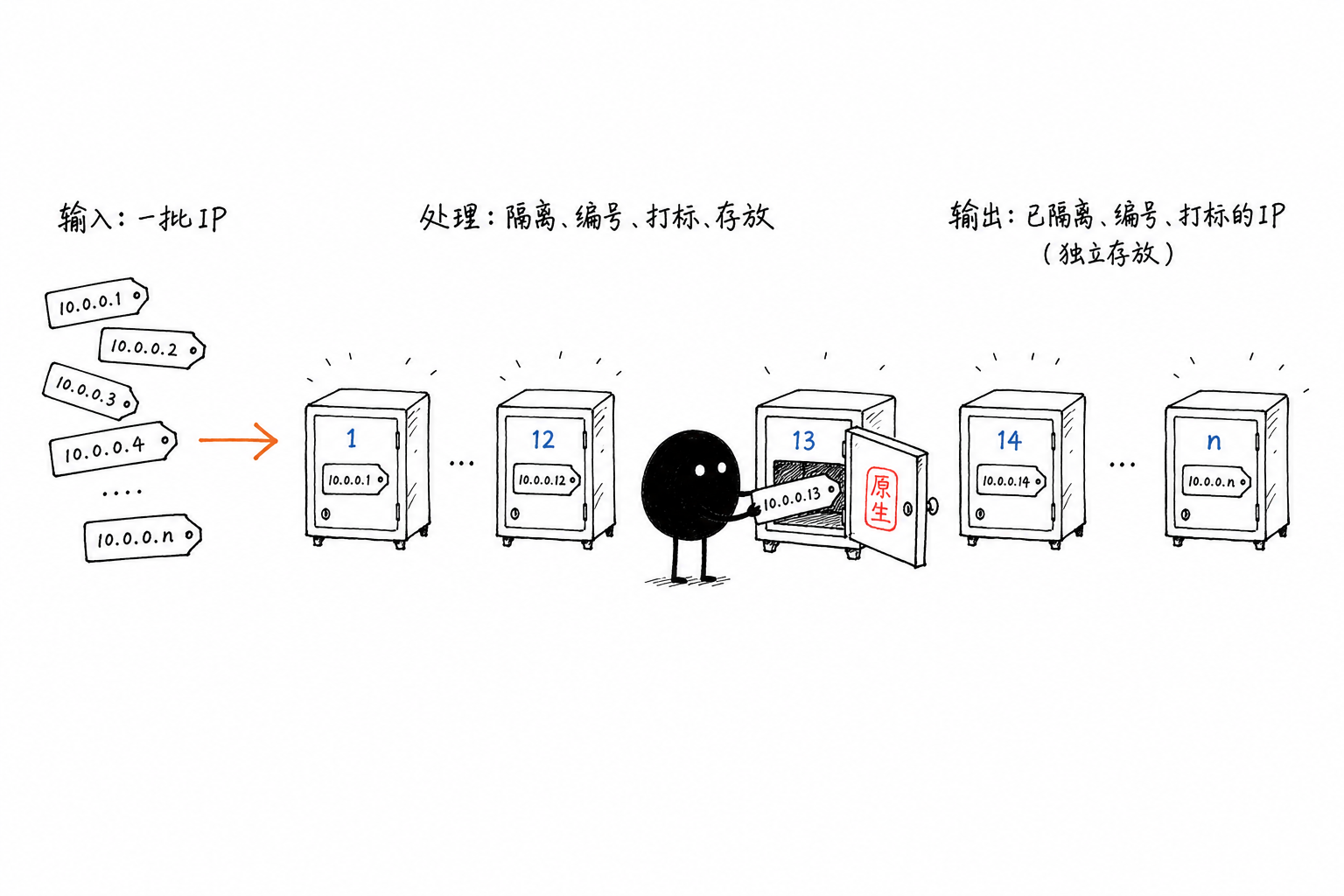 原生IP专属保险柜：每只IP单独锁一格，配编号和原生牌