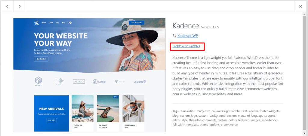 Kadence 自动更新按钮