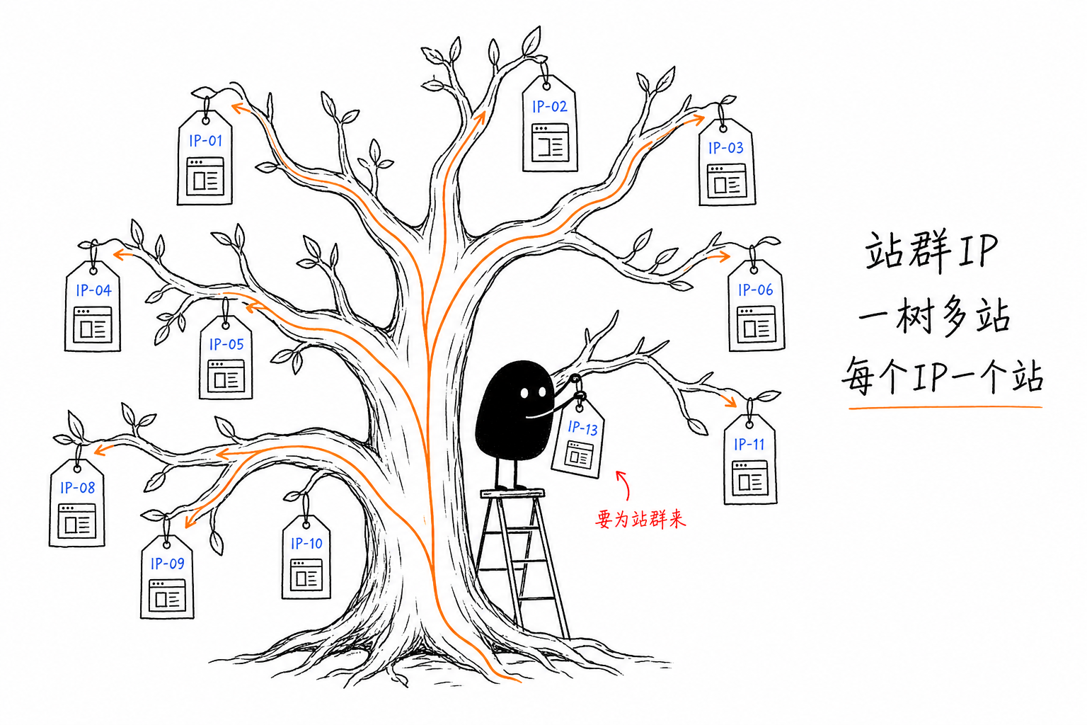 站群IP矩阵·一树多站