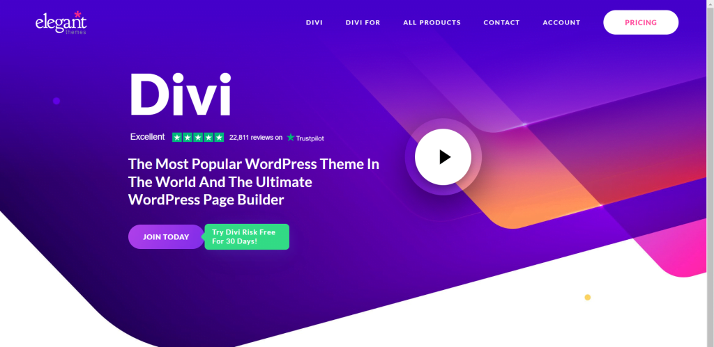 Elegant Themes 的 Divi 落地页构建器